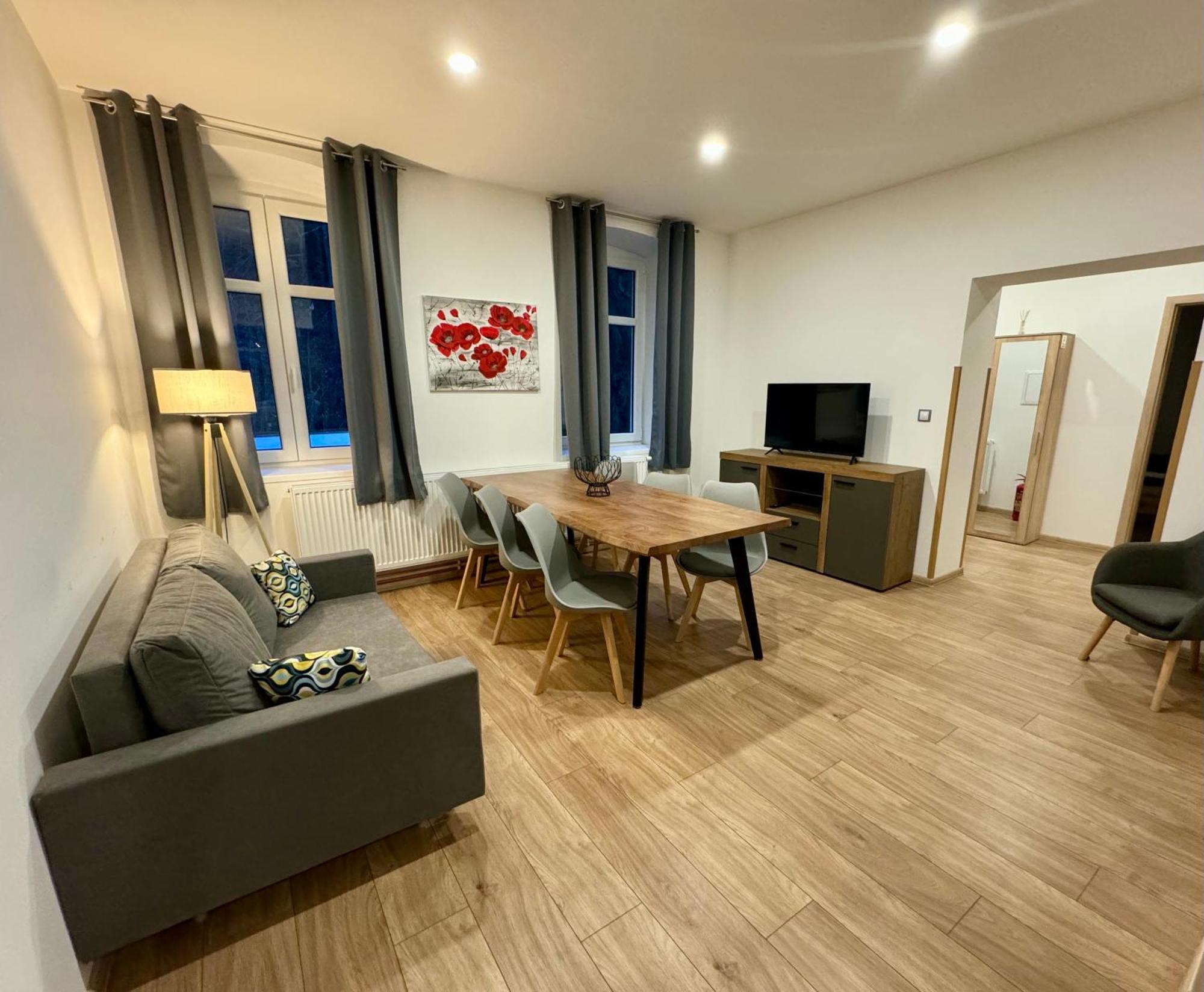 Jizerske Apartmany Ha&Ha ヤノフ・ナト・ニソウ エクステリア 写真