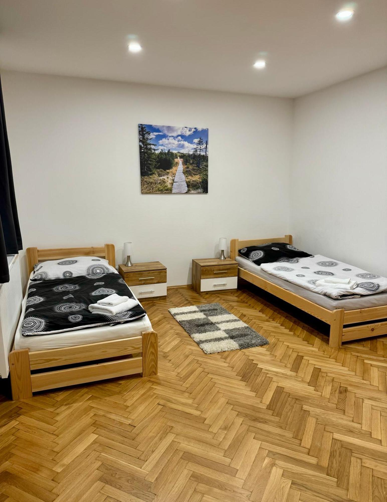 Jizerske Apartmany Ha&Ha ヤノフ・ナト・ニソウ エクステリア 写真